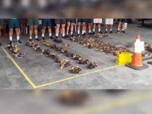 Tribunal de Justiça do Ceará envia 479 armas de fogo ao Exército para destruição