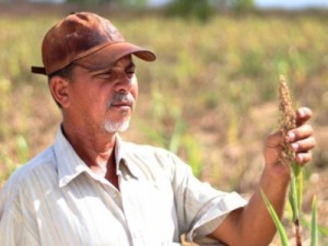 Governo do Ceará dispensa agricultores de 50 municípios do pagamento do boleto do Hora de Plantar