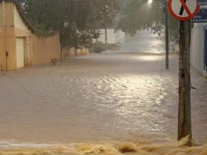 Chuvas acima de 100mm banharam vários municípios do Cariri, veja aqui