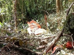 Avião da FAB que desapareceu é encontrado em SC; dois ocupantes morreram