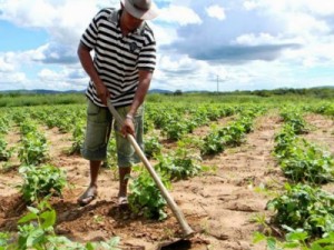 Agroamigo e Ematerce de Barbalha tem palestra para agricultores e produtores dia 15