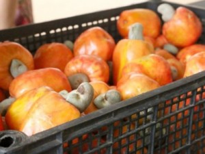 Mulher morre após se engasgar com caju na Grande Natal