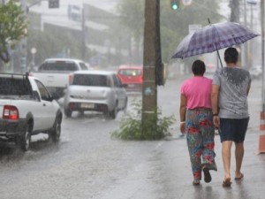 Boas chuvas banharam a Região do Cariri, a maior em Várzea Alegre 160mm, veja aqui