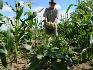 SDA de Barbalha amplia de 170 para 428 agricultores no Programa Garantia Safra 2022/2023