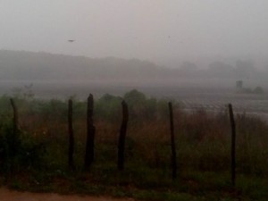 Boa chuva de 70mm na zona rural de Barbalha, nesta quarta-feira (15)