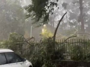 Forte chuva com vendaval provoca alagamentos, queda de árvores e deixa carros boiando na cidade de SP nesta quarta