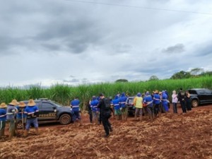 Mais de 200 trabalhadores são resgatados em condições análogas à escravidão, em Goiás