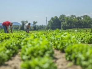 Novo centro da USP vai promover o desenvolvimento da agricultura sustentável nos biomas brasileiros