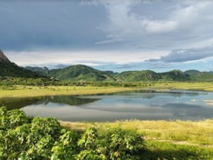 Ceará: 'Mar verde' surge na área mais desertificada do país