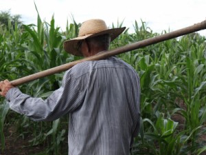 Programa Agroamigo tem palestra para agricultores no Sítio Macaúba amanhã (17)