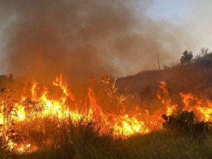 Incêndio em mata já chega perto de residência do Bairro Grossos, em Várzea Alegre