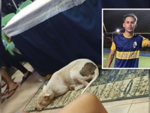 Cadela acompanha velório do tutor morto em acidente e comove amigos e familiares