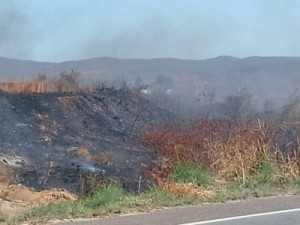 Fogo de grandes proporções atinge vegetação nas comunidades de Sanharol e Chico.