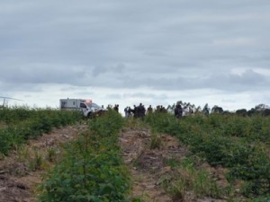 Polícia encontra corpos dos 3 adolescentes que estavam desaparecidos há 14 dias em Sooretama, Norte do ES