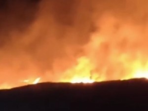 Incêndios florestais geram nuvem de fumaça em cidades do Cariri