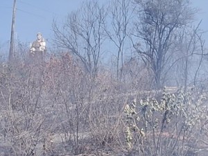 Incêndio destrói encosta da Estátua de Santo Antônio e causa preocupação ao Lar de Idosos