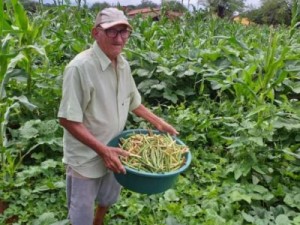 IDACE disponibiliza mais de 170 Títulos de Terra para agricultores de Barbalha