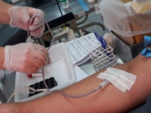 Em Barbalha hoje é dia de generosidade doando sangue para salvar vidas