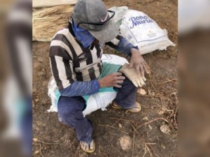 Sete pessoas são resgatadas de trabalho escravo em fazenda sem banheiro e sem dormitório no Ceará