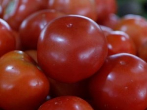 Barbalha - Preço do tomate registra queda de 45% na Ceasa Cariri