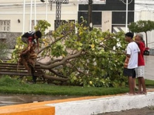 Chuva de granizo destrói antena de rádio e atinge casas e escola em Coreaú, no Ceará