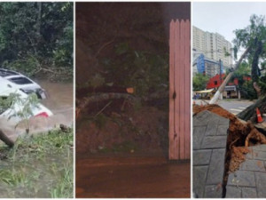 Chuva na Grande SP causa mortes, deixa ruas alagadas, derruba árvores e suspende pousos em Congonhas