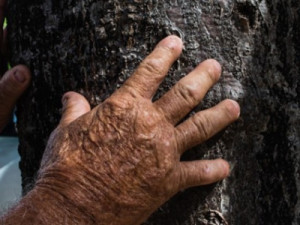 Profetas da Chuva se reúnem para prognóstico do inverno no Ceará neste sábado, 13