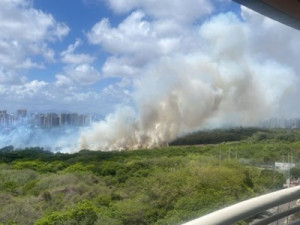 Incêndio atinge Parque do Cocó, e fumaça se espalha por bairros de Fortaleza