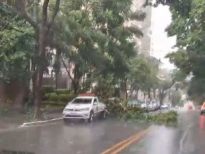 Chuva com granizo derruba árvores e causa alagamentos em São Paulo neste domingo