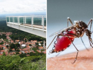 Complexo Ambiental do Mirante do Caldas vai realizar Dia de Combate à Dengue
