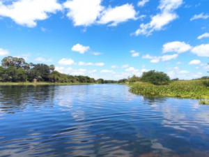 Choveu em pelo menos 74 municípios cearenses nas últimas 24 horas