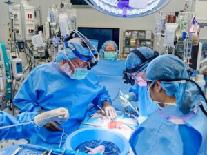 Em cirurgia inédita, mulher nos EUA recebe coração mecânico e rim suíno