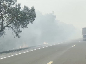 Fogo no Pantanal sul-matogrossense compromete visibilidade nas estradas e ameaça chegar à Corumbá