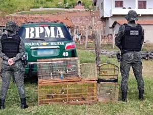 Polícia de Meio Ambiente realiza a soltura de 32 aves silvestres em Barbalha e Crato