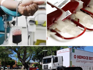 Campanha positiva com mais de 100 bolsas de sangue coletadas em Barbalha