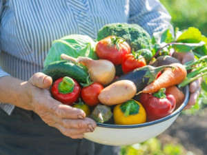 Campanha celebra Aliança Global contra a Fome e a Pobreza