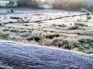 Rio de Janeiro, Curitiba, Goiânia e Florianópolis batem recorde de frio no ano, aponta Inmet