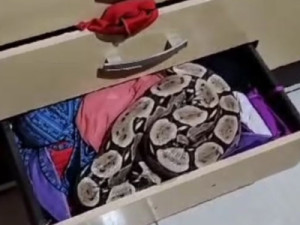 Jiboia de 2 metros é encontrada em gaveta de guarda-roupa no Ceará