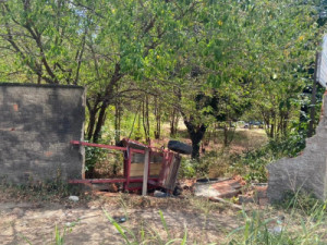 Carro atropela carroça, fere idoso e mata burro, no Crato