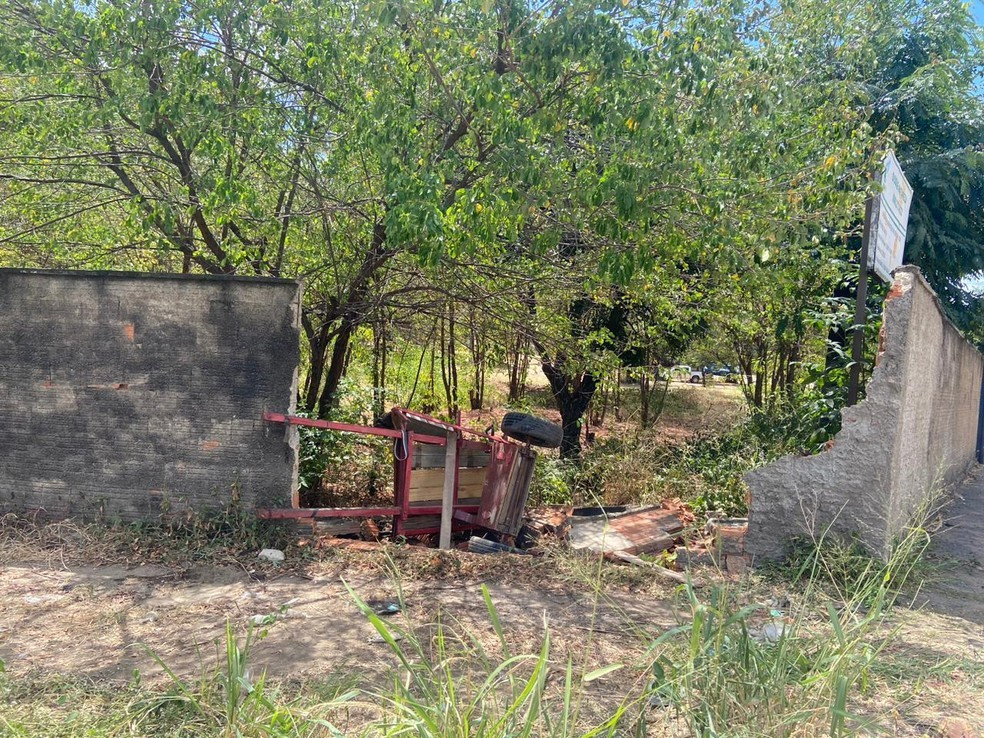 Carro atropela carroça, fere idoso e mata burro, no Crato