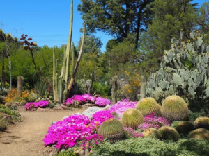 Este pequeno jardim da Califórnia foi eleito o mais bonito do mundo