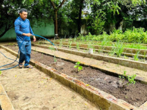 Farmacêuticos podem se inscrever até sexta-feira (6) para bolsa em projeto de farmácias vivas da Sesa