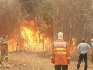 Brigadistas do Ibama iniciam combate a incêndio na Bolívia que ameaça Serra do Amolar, no Pantanal