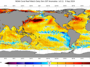 La Niña, fenômeno que pode ajudar a diminuir calor atual, tem 60% de chance de ocorrer