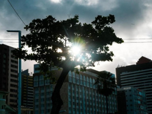 Cidades do Ceará podem ter temperaturas de até 39ºC nesta semana; veja previsão por região