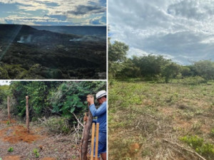 15 cidades da Chapada do Araripe no CE terão áreas reflorestadas até 2026 para conter crise do clima