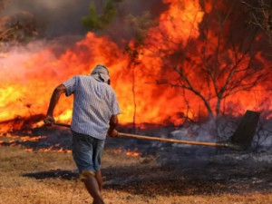 Monitor de Incêndios será lançado em outubro no Cariri