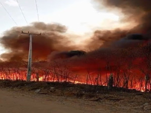 MPCE instaura procedimento para apurar responsabilidade civil e ambiental de incêndios na zona rural de Mauriti