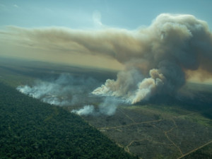 Nível de emissões de gases de efeito estufa no Brasil cai 12% em 2023