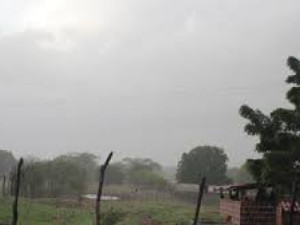 Funceme registrou chuva acima de 50mm em sete municípios do Cariri, veja